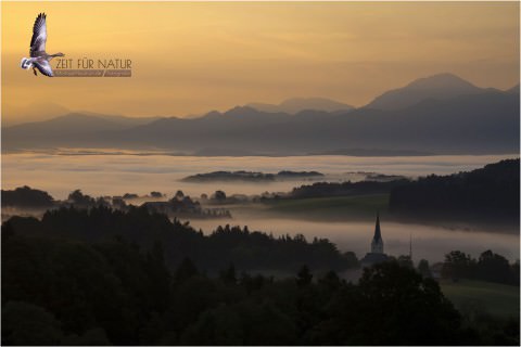 Zeit Für Natur – Homepage von Michael Neukum ist online!